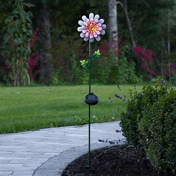 LED-Solarleuchte Pink Daisy in Blumen-Form günstig online kaufen