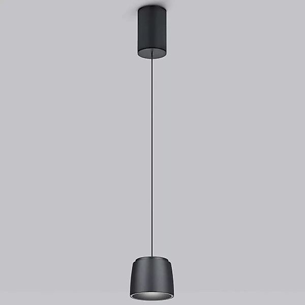 LED Pendelleuchte Ove in Schwarz 16W 1130lm günstig online kaufen
