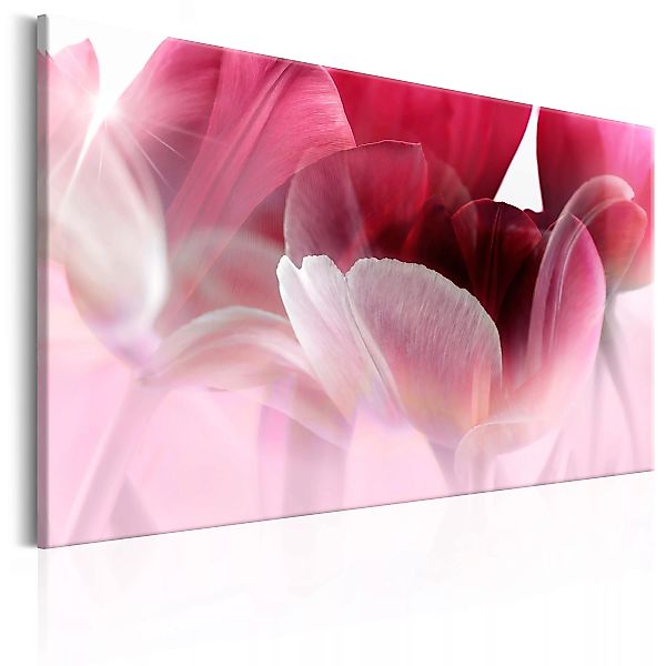 Wandbild - Nature: Pink Tulips günstig online kaufen