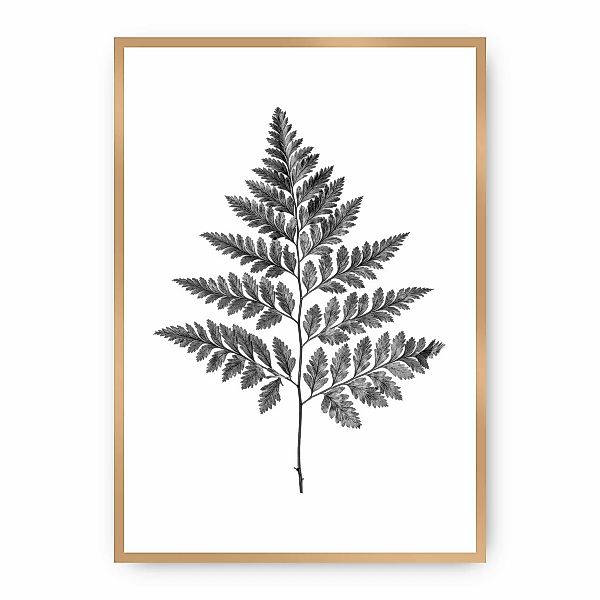 Poster Fern Grey, 30 x 40 cm, Rahmen wählen: gold günstig online kaufen