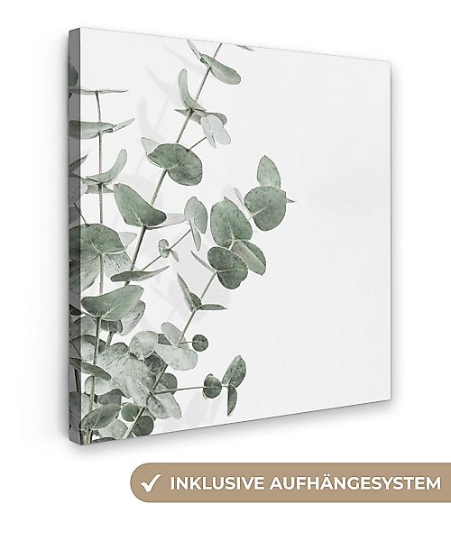 OneMillionCanvasses® Leinwandbild Eukalyptus - Blätter - günstig online kaufen