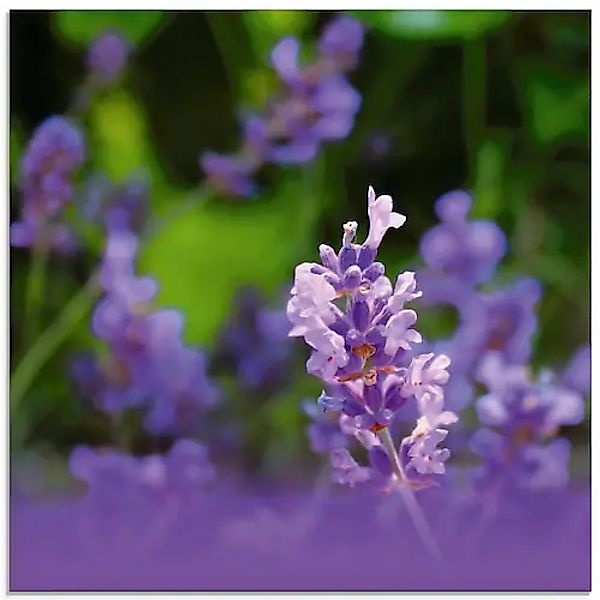 Artland Glasbild »Lavendel«, Blumen, (1 St.), in verschiedenen Größen günstig online kaufen