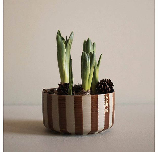 dbkd Dekoobjekt Schale Line - stripe nougat günstig online kaufen