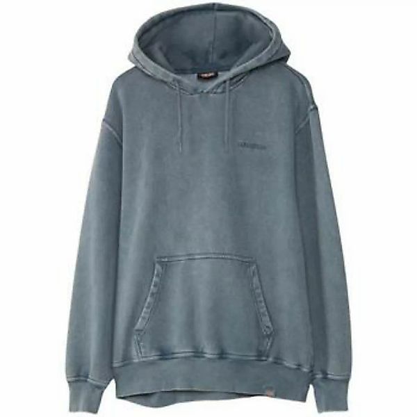 Dickies  Sweatshirt PLENTYWOOD HD - DK0A866D-G701 STORMY WEATHER günstig online kaufen