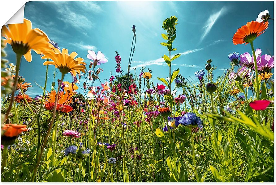 Artland Wandbild Buntes Blumenfeld, Blumenwiese (1 günstig online kaufen