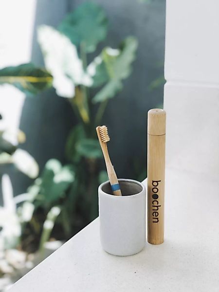 Bambus Zahnbürsten Etui günstig online kaufen