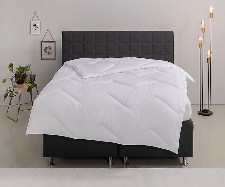 Home affaire Microfaserbettdecke Sartes, Bettdecke 135x200 günstig online kaufen