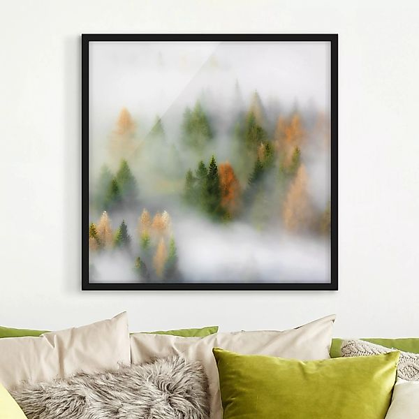 Bild mit Rahmen Natur & Landschaft - Quadrat Nebelwald im Herbst günstig online kaufen