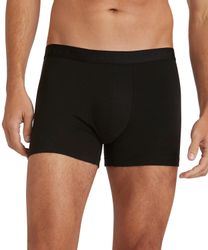 FALKE Boxershorts Daily ClimaWool (1-St., 1) günstig online kaufen