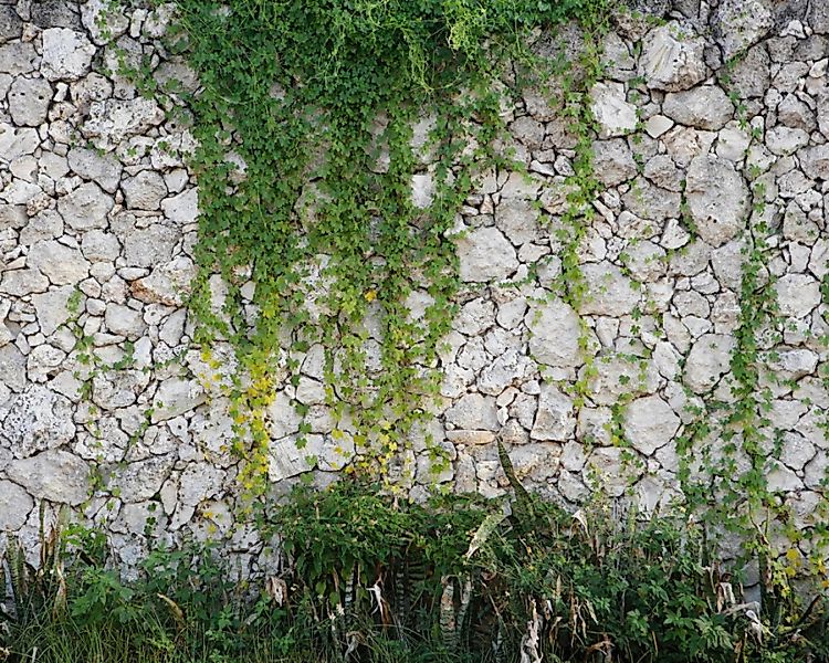 Fototapete "Steinmauer" 3,50x2,55 m / Strukturvlies Klassik günstig online kaufen