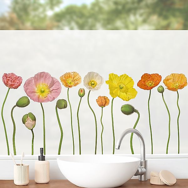 Fensterfolie Poppies günstig online kaufen