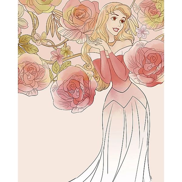 Disney Poster Dornröschen Rosa 40 x 50 cm 610132 günstig online kaufen