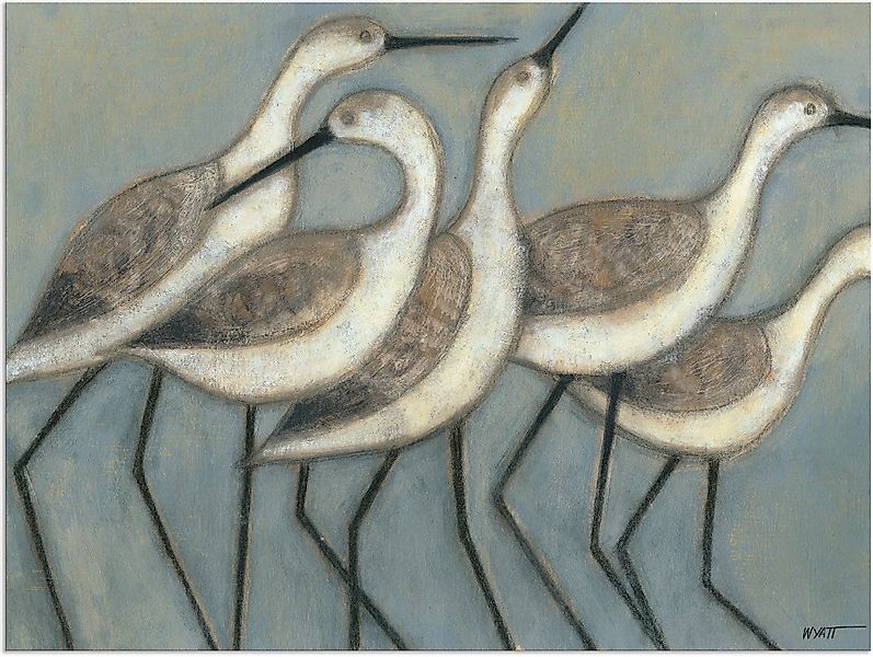 Artland Alu-Dibond-Druck "Küstenvögel II", Vögel, (1 St.), für Innen- und A günstig online kaufen