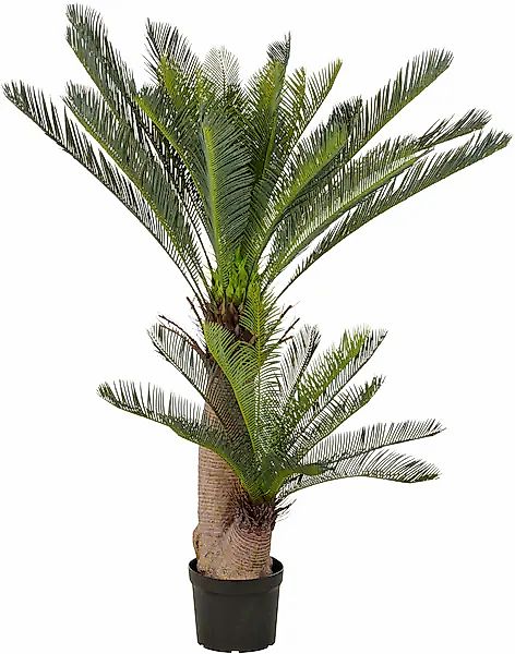 Creativ green Kunstpalme »Cycaspalme« mit detailgetreuer Gestaltung günstig online kaufen