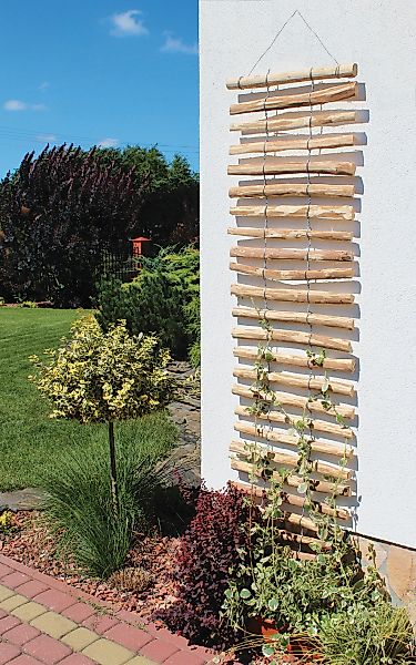 dobar Rankhilfe LxB: 50x200 cm, Haselnuss günstig online kaufen