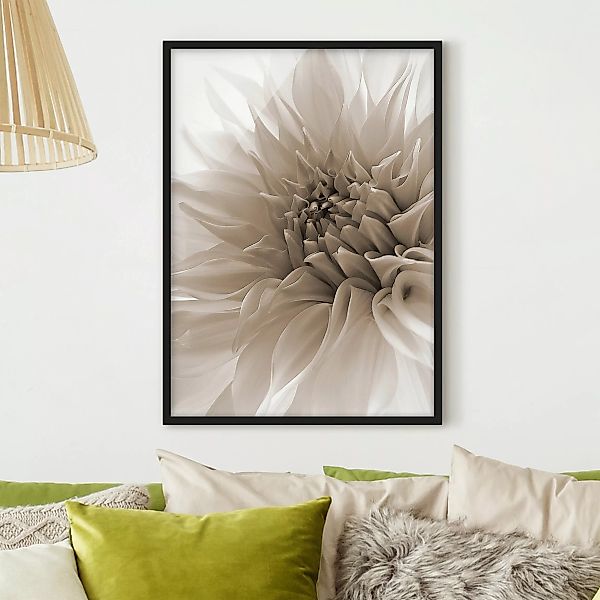 Bild mit Rahmen Blumen - Hochformat Dahlie in Würde günstig online kaufen