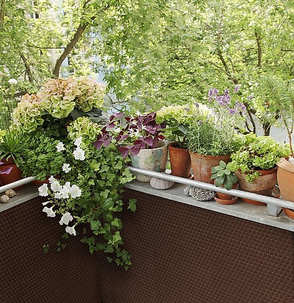 dynamic24 Sichtschutzzaunmatten, Polyrattan PVC Sichtschutz Matte günstig online kaufen