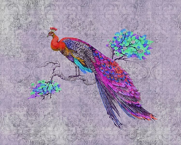Fototapete "peacock 3" 4,00x2,70 m / Glattvlies Perlmutt günstig online kaufen