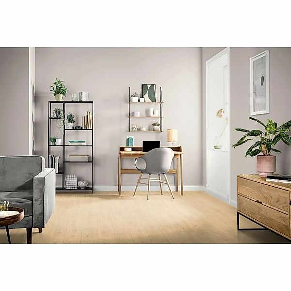 Egger Laminat 7 mm Eiche Berdal Hell günstig online kaufen
