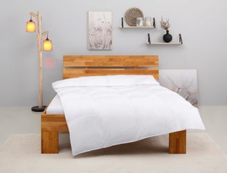 Home affaire Kunstfaserbettdecke Taylore, Bettdecke 135x200, günstig online kaufen