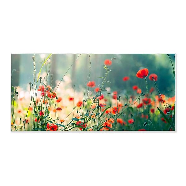 Banjado Magnettafel 78x37cm Magnetwand  Weiß Aus Metall Magnetpinnwand Pinn günstig online kaufen