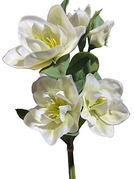 Kunstblume 2x Künstliche Christrosenbund x3 L35cm Christrose creme/grün, fi günstig online kaufen