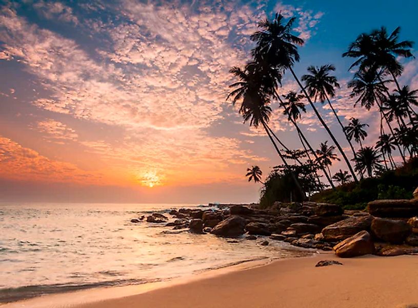 Papermoon Fototapete »Palm Beach Sri Lanka« günstig online kaufen