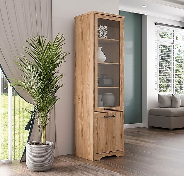 FORTE Vitrine "Joadakis" günstig online kaufen