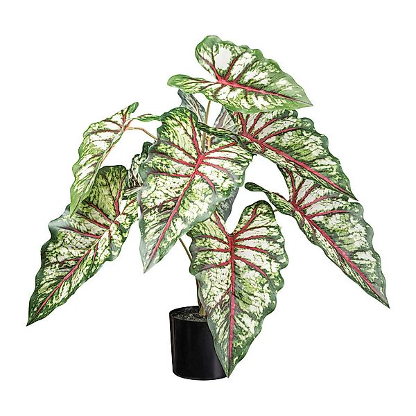 Kunstpflanze Syngonium grün Kunststoff B/H/L: ca. 20x68x20 cm günstig online kaufen