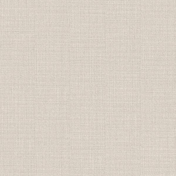 Rasch Tapete Kollektion Wall Textures IV 442717 Uni günstig online kaufen