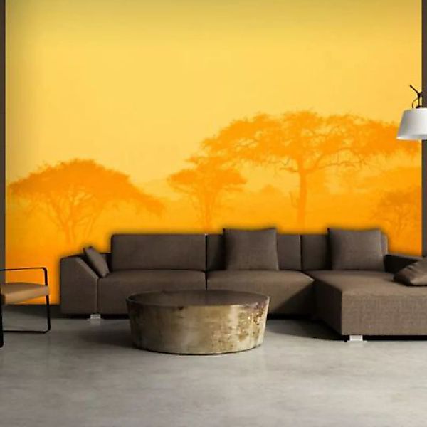 artgeist Fototapete Orange savanna orange/gelb Gr. 200 x 154 günstig online kaufen