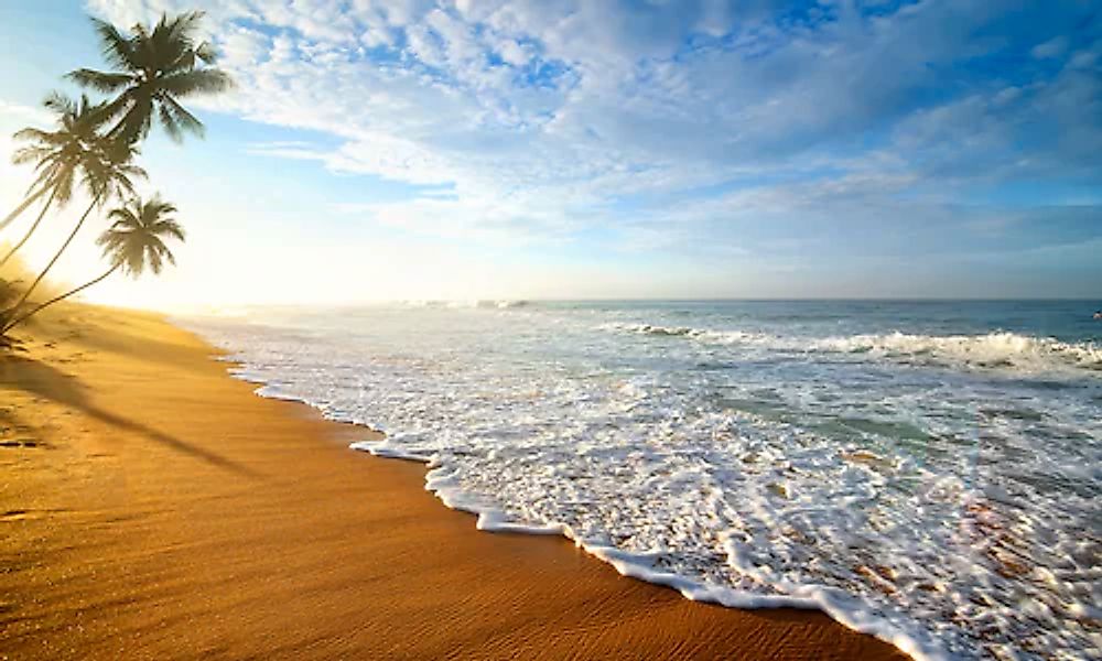 Papermoon Fototapete »Palm Beach Sri Lanka« glatt günstig online kaufen