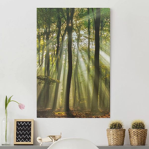 Leinwandbild Wald - Hochformat Sonnentag im Wald günstig online kaufen