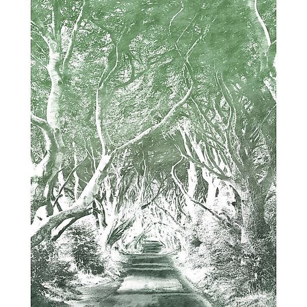 Sanders & Sanders Fototapete Wald Grün 200 x 250 cm 611922 günstig online kaufen