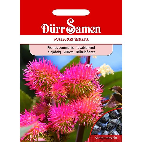 Dürr Samen Wunderbaum Rosablühend Einjährig Saatgut günstig online kaufen