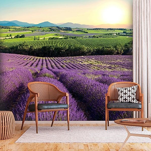 home24 Vlies Fototapete Lavender Field günstig online kaufen