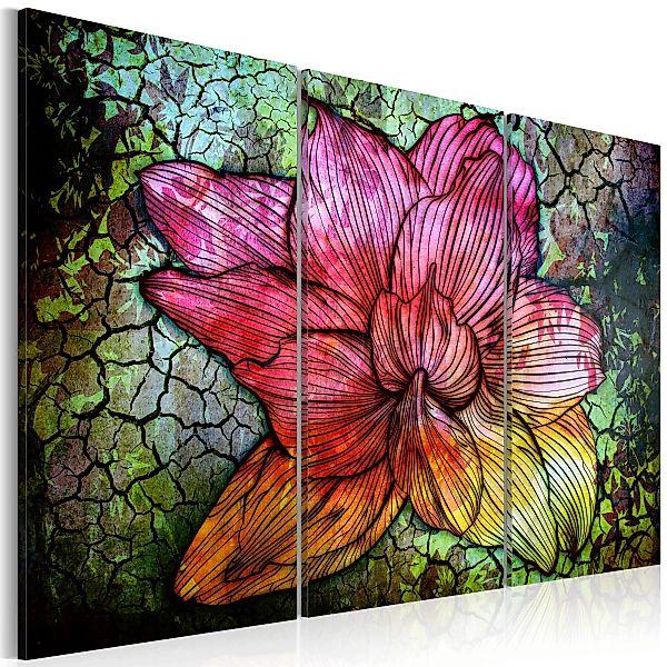 Wandbild - Abstrakte Blume in Regenbogenfarben günstig online kaufen