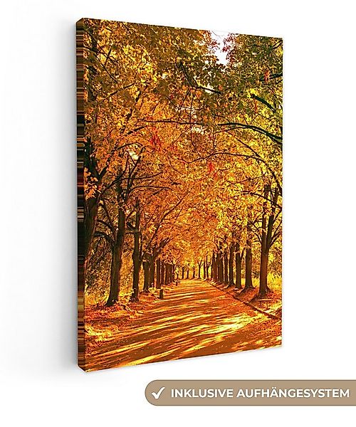 OneMillionCanvasses® Leinwandbild Wald - Herbst - Jahreszeiten - Ländlich, günstig online kaufen