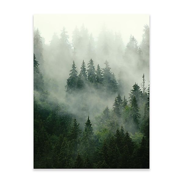 Wallarena Poster Wald Natur Grün Wohnzimmer günstig online kaufen