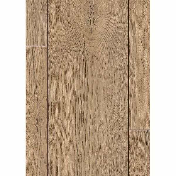 Egger Classic Laminat 8 mm Eiche Elva Natur günstig online kaufen