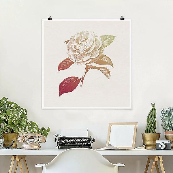 Poster Modern Vintage Botanik Rose Rot Grün günstig online kaufen