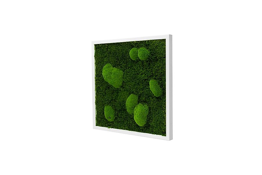 Moos-Design Bilderrahmen Moos Bild Forest Design günstig online kaufen