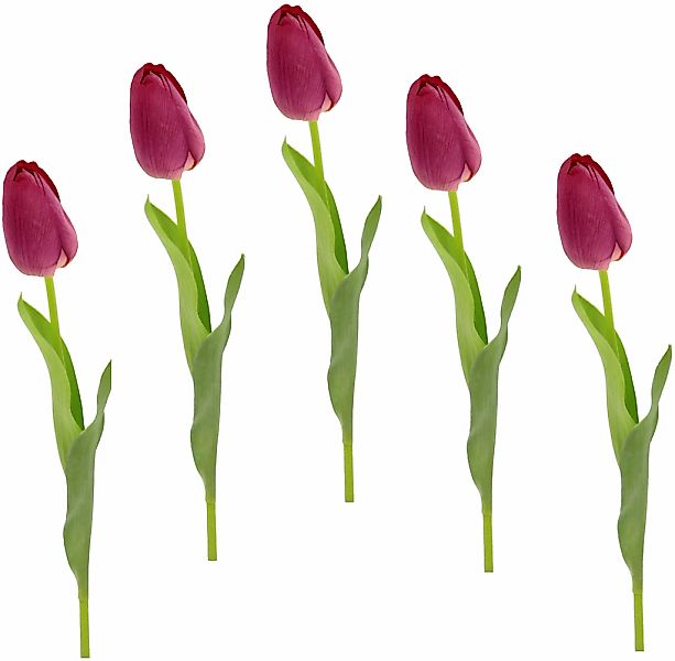 I.GE.A. Kunstblume "Real Touch Tulpen", 5er Set künstliche Tulpenknospen, K günstig online kaufen