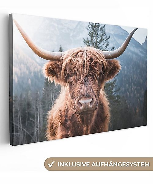 OneMillionCanvasses® Leinwandbild Schottischer Hochländer - Kuh - Tiere - B günstig online kaufen