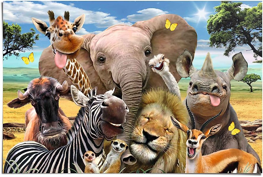 Reinders! Poster Lustige Wildtiere, (1 St) günstig online kaufen