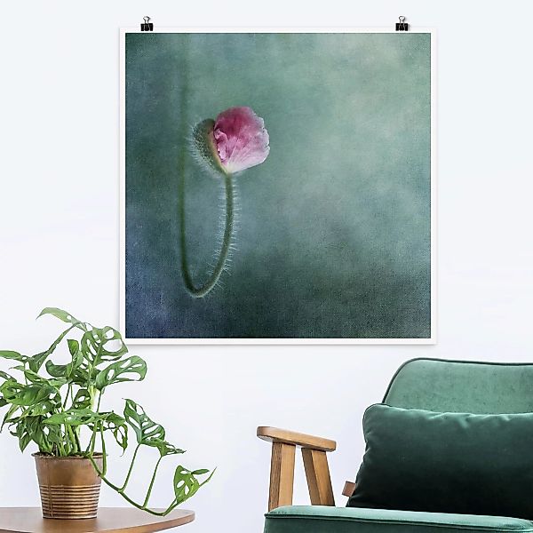 Poster - Quadrat Blüte in Rosa günstig online kaufen