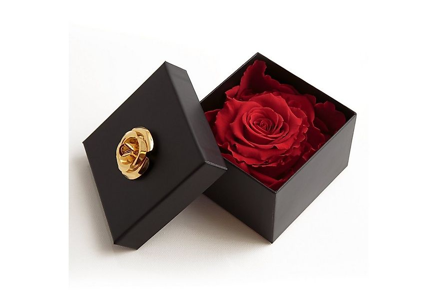 Kunstblume 1 Infinity Rose haltbar 3 Jahre ewige Rose in Box Rose, ROSEMARI günstig online kaufen