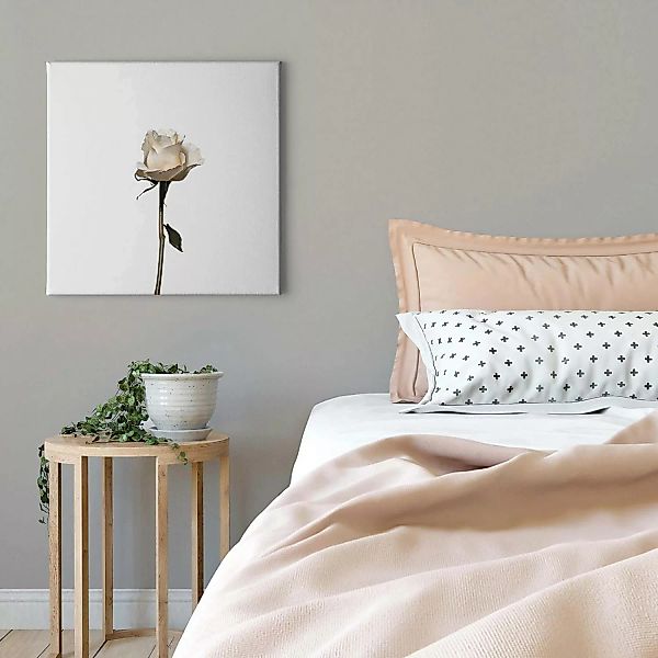 Bricoflor Weiße Rose Bild Auf Leinwand Weißes Wandbild Mit Rosen Design Ide günstig online kaufen