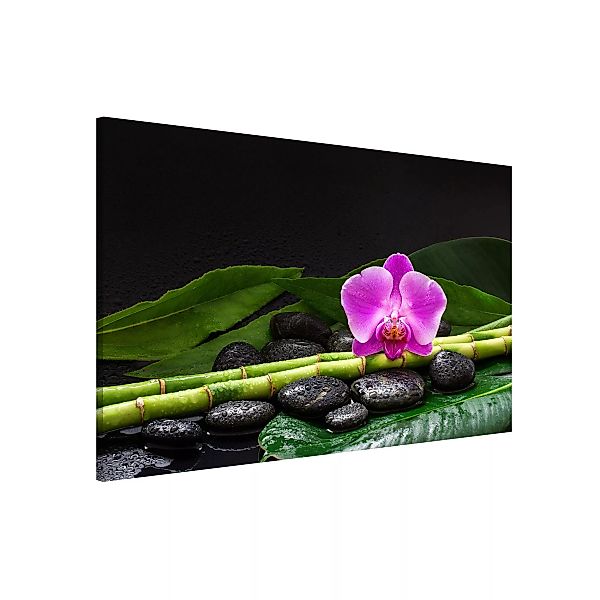 Magnettafel Grüner Bambus mit Orchideenblüte günstig online kaufen