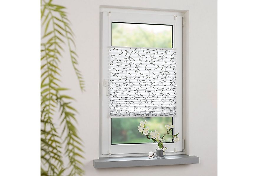 HOMBERA Plissee "Ranke", Lichtschutz, ohne Bohren oder Schrauben, verspannt günstig online kaufen